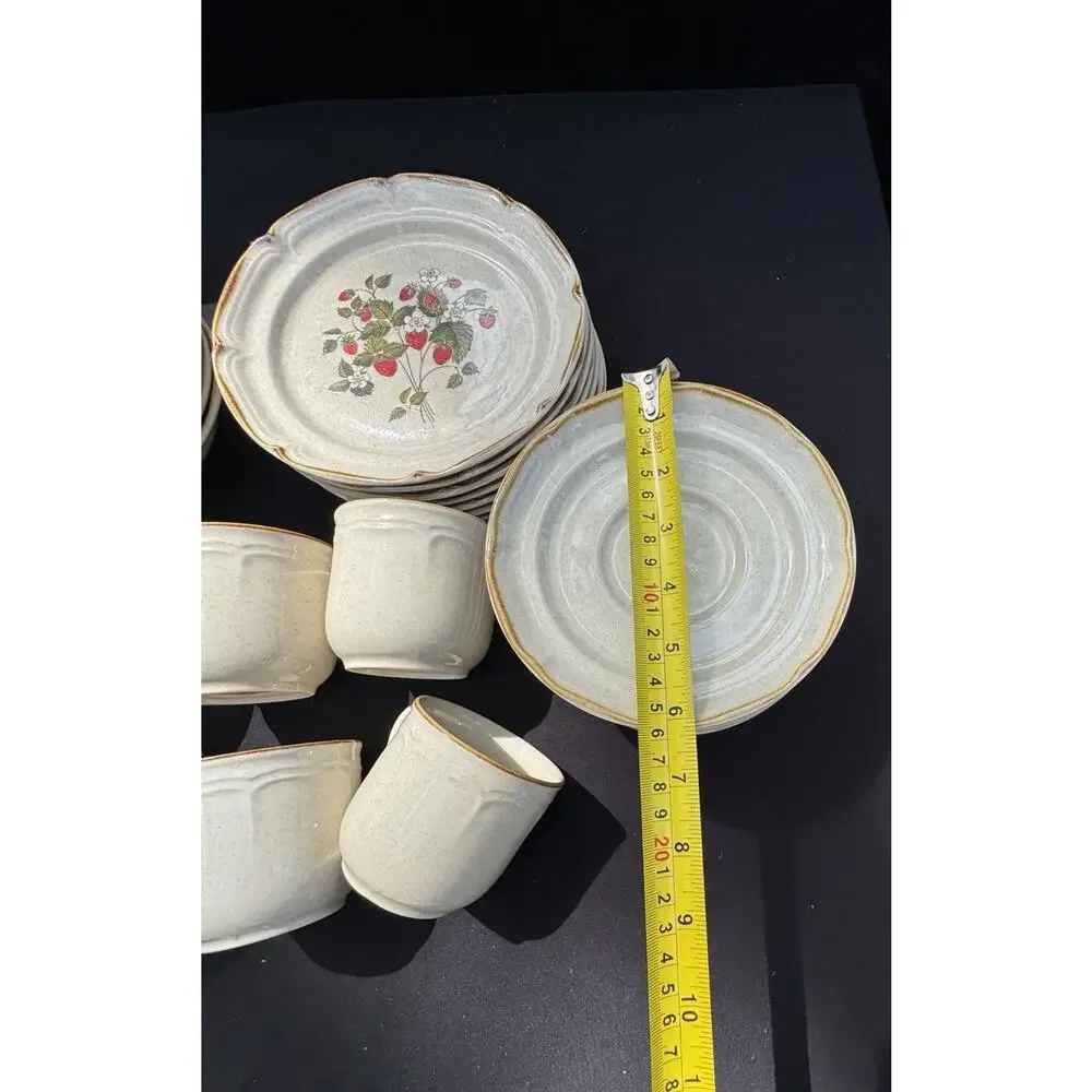 Vintage 1960’s Endura Collection LA FRAISE Strawberries Plate Bowl Saucer & Mugs